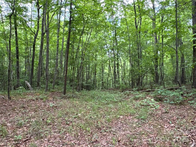 00 Vein Mountain Rd, Nebo, NC 28761