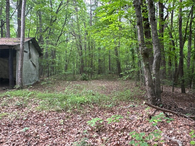 00 Vein Mountain Rd, Nebo, NC 28761