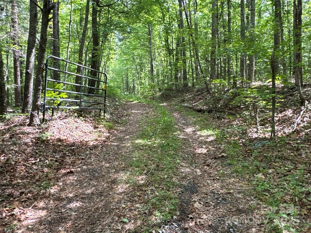 00 Vein Mountain Rd, Nebo, NC 28761