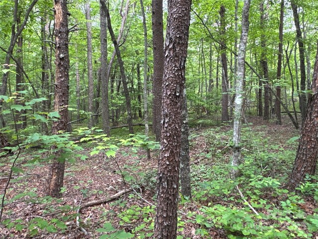 00 Vein Mountain Rd, Nebo, NC 28761