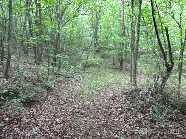 00 Vein Mountain Rd, Nebo, NC 28761