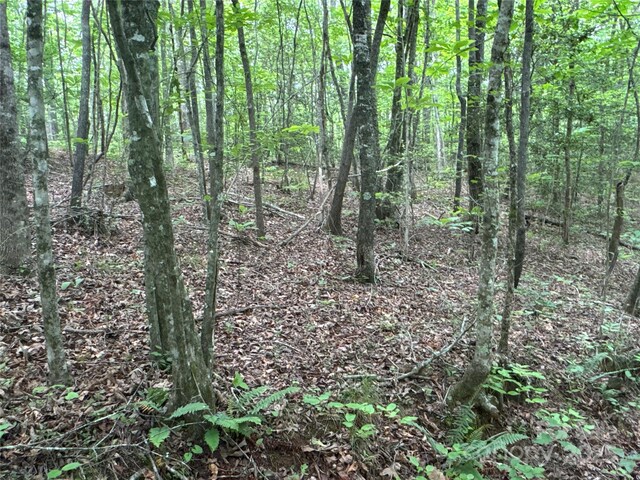 00 Vein Mountain Rd, Nebo, NC 28761