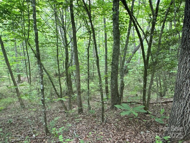 00 Vein Mountain Rd, Nebo, NC 28761