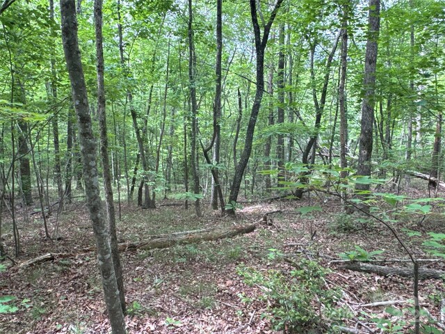 00 Vein Mountain Rd, Nebo, NC 28761
