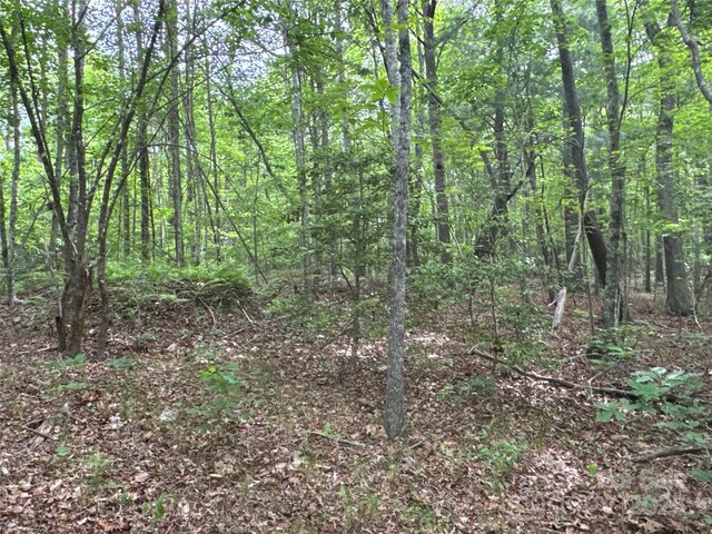 00 Vein Mountain Rd, Nebo, NC 28761