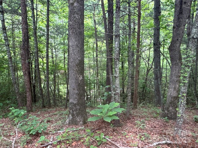 00 Vein Mountain Rd, Nebo, NC 28761