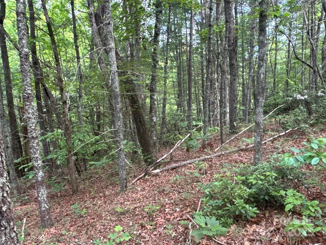 00 Vein Mountain Rd, Nebo, NC 28761