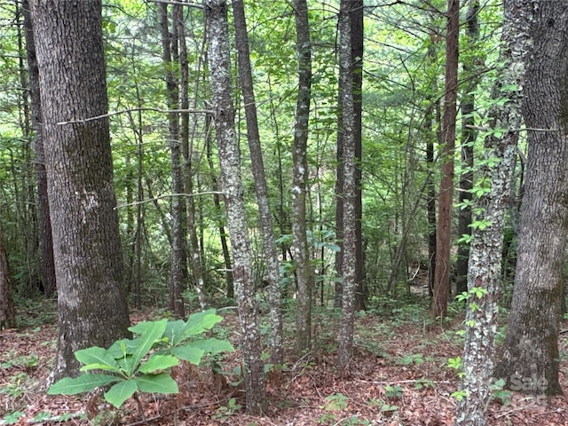 00 Vein Mountain Rd, Nebo, NC 28761