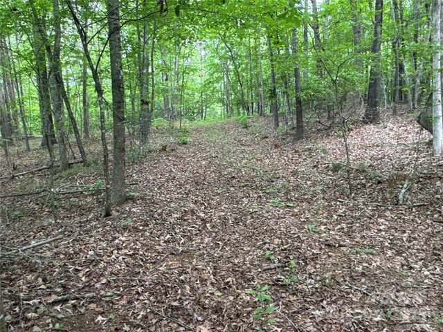 00 Vein Mountain Rd, Nebo, NC 28761