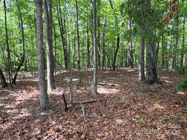 00 Vein Mountain Rd, Nebo, NC 28761