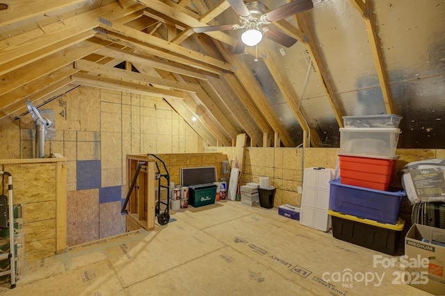 14503 Crest Ct, Charlotte, NC 28278 - view of attic
