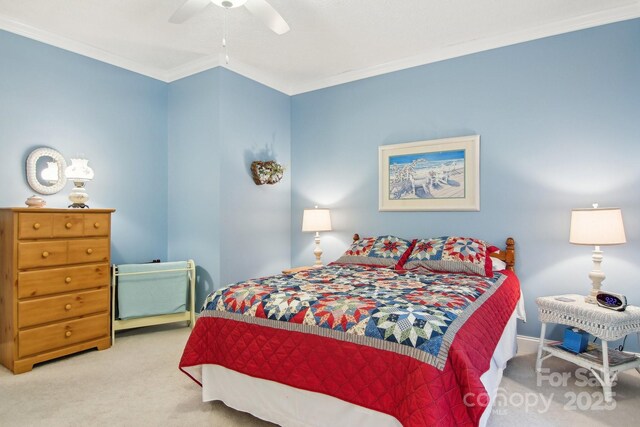 310 Jonathan Creek Dr, Etowah, NC 28729 - photo 22