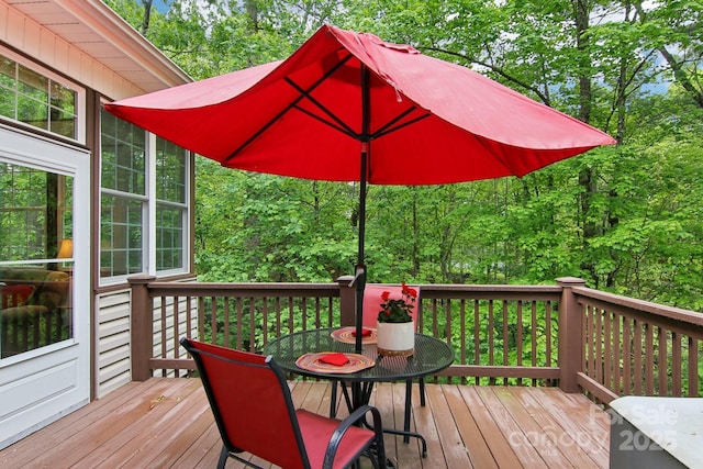 310 Jonathan Creek Dr, Etowah, NC 28729 - photo 34