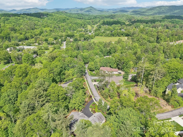 310 Jonathan Creek Dr, Etowah, NC 28729 - photo 46
