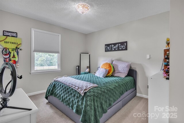 827 River Hills Ct, Taylorsville, NC 28681 - photo 28