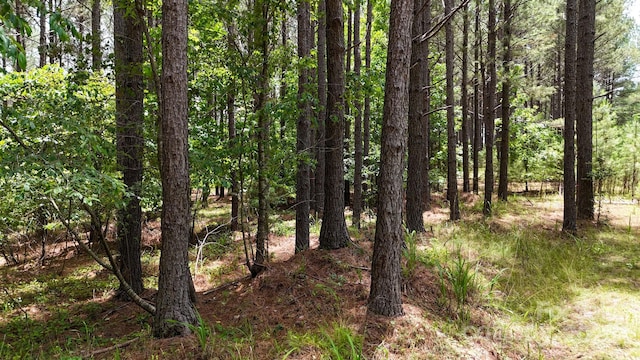 105 Whispering Pines Ln, Mooresboro, NC 28114 - photo 14