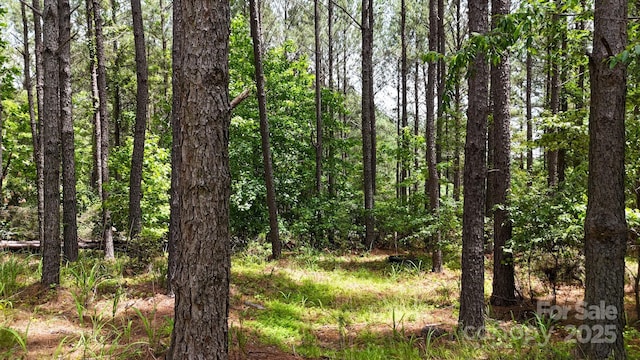 105 Whispering Pines Ln, Mooresboro, NC 28114 - photo 15