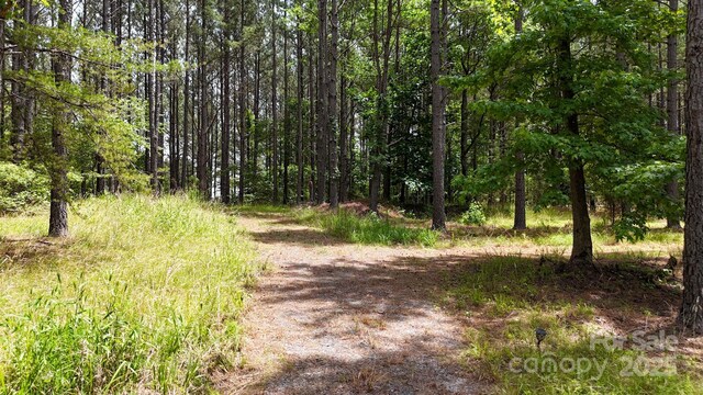 105 Whispering Pines Ln, Mooresboro, NC 28114 - photo 16
