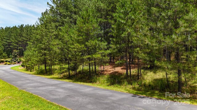 105 Whispering Pines Ln, Mooresboro, NC 28114 - photo 18
