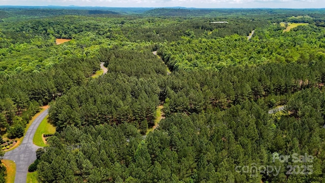 105 Whispering Pines Ln, Mooresboro, NC 28114 - photo 8