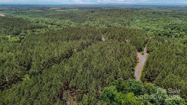 105 Whispering Pines Ln, Mooresboro, NC 28114 - photo 10