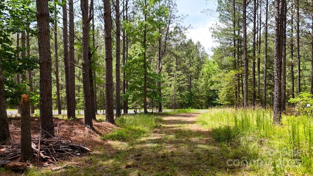 105 Whispering Pines Ln, Mooresboro, NC 28114 - photo 12