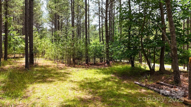 105 Whispering Pines Ln, Mooresboro, NC 28114 - photo 13