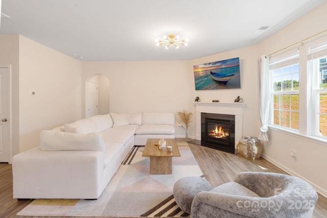 1001 Linn Cv, Waxhaw, NC 28173 - living room with light wood-style floors, a glass covered fireplace, arched walkways, and baseboards