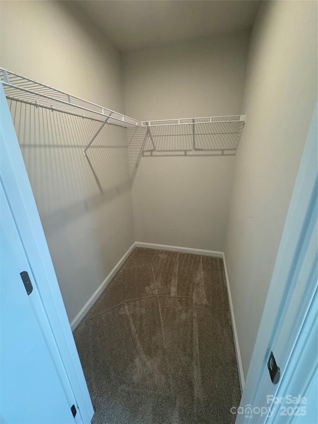 walk in closet featuring carpet