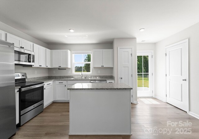 110 Browband St, Troutman, NC 28166 - kitchen with stainless steel appliances, a sink, wood finished floors, a kitchen island, and recessed lighting