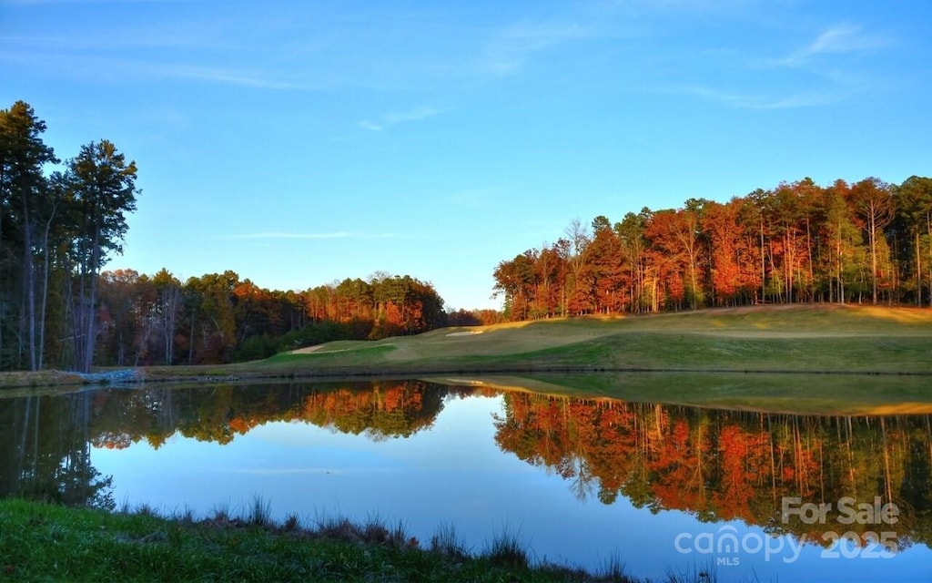 339 Tradition Dr, Mount Gilead, NC 27306