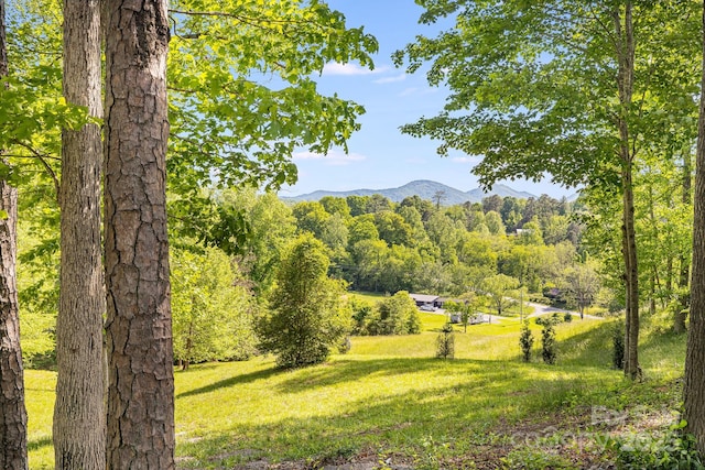 7 Bee Balm Way, Asheville, NC 28804 - view of mountain background featuring a heavily wooded area