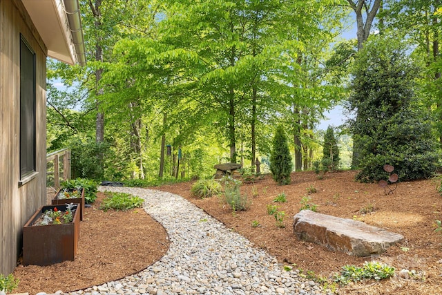 7 Bee Balm Way, Asheville, NC 28804 - view of yard
