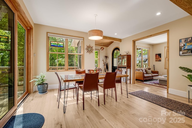 7 Bee Balm Way, Asheville, NC 28804 - dining room featuring light wood-style flooring, baseboards, and recessed lighting