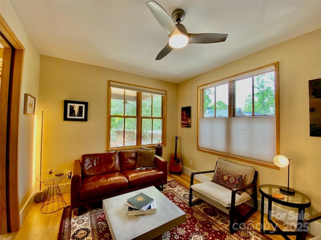 7 Bee Balm Way, Asheville, NC 28804 - living area with wood finished floors, a ceiling fan, and baseboards