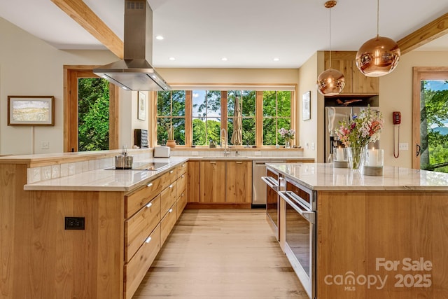 7 Bee Balm Way, Asheville, NC 28804 - kitchen featuring island exhaust hood, light stone counters, light wood-style flooring, appliances with stainless steel finishes, and a sink
