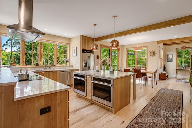 7 Bee Balm Way, Asheville, NC 28804 - kitchen with island exhaust hood, appliances with stainless steel finishes, light wood-style flooring, healthy amount of natural light, and recessed lighting
