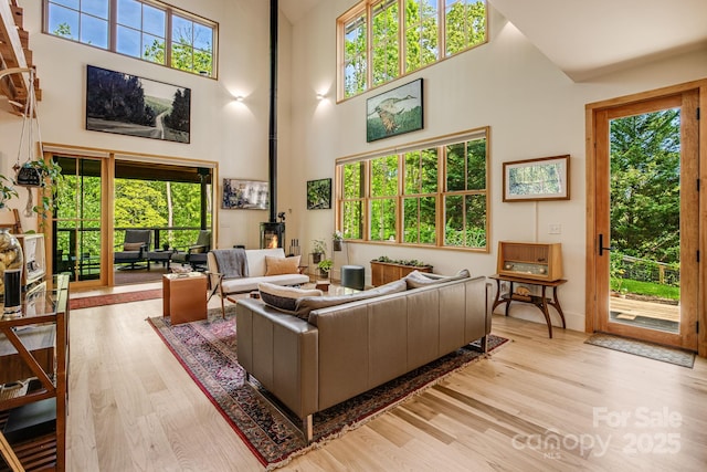 7 Bee Balm Way, Asheville, NC 28804 - living room with a towering ceiling, light wood-style floors, a wood stove, and baseboards