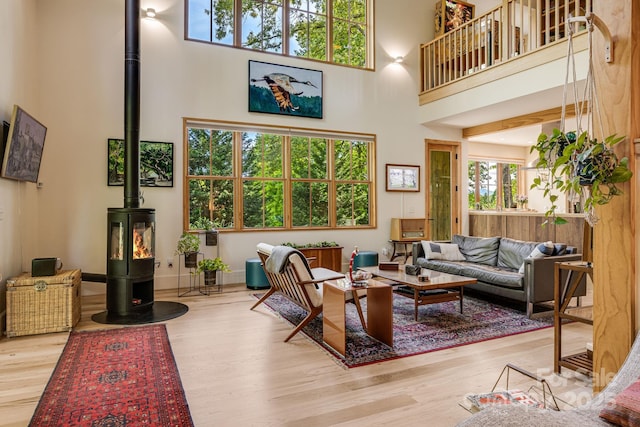 7 Bee Balm Way, Asheville, NC 28804 - living room with a high ceiling, a wood stove, and wood finished floors