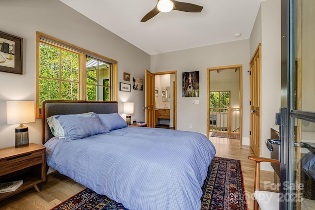 7 Bee Balm Way, Asheville, NC 28804 - bedroom featuring light wood-style floors, multiple windows, connected bathroom, and a ceiling fan