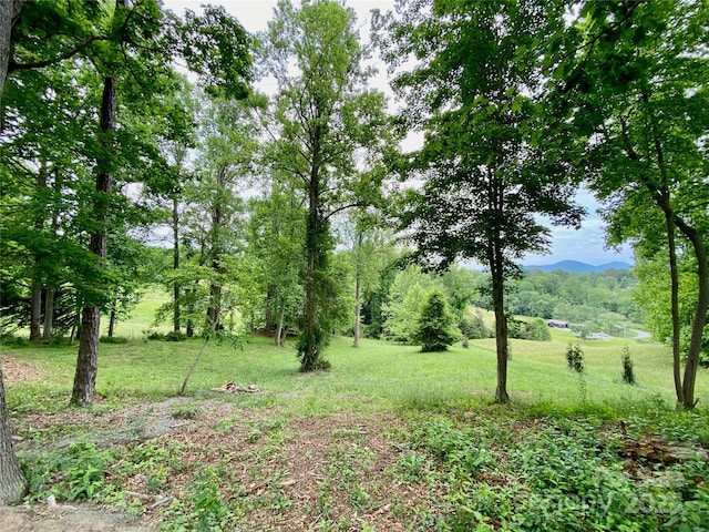 7 Bee Balm Way, Asheville, NC 28804 - view of yard with a mountain view