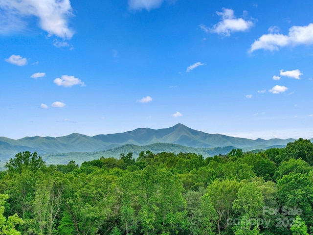 view of mountain backdrop with a forest