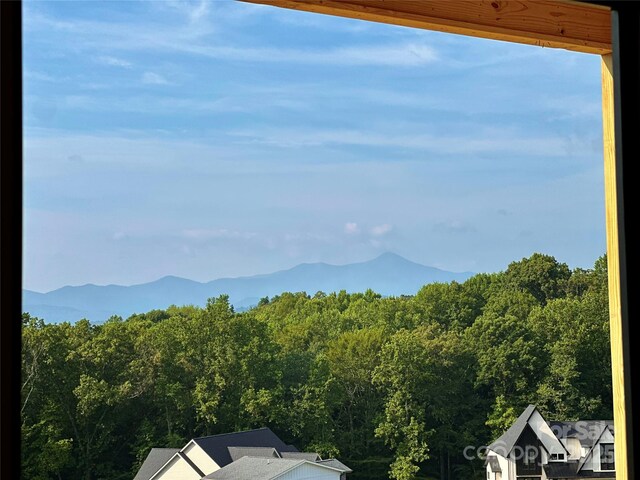51 Bridgeway Dr Unit 12, Candler, NC 28715 - mountain view with a forest