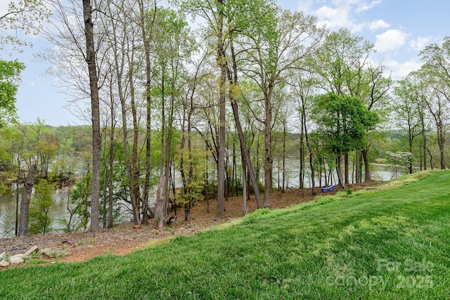 829 River Park Rd, Belmont, NC 28012 - view of green lawn featuring a water view
