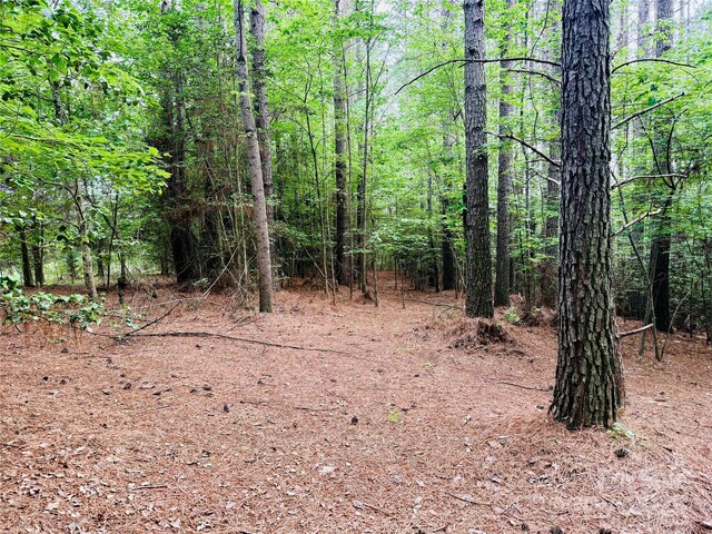 158 Riverwalk Rd, Stony Point, NC 28678 - photo 9