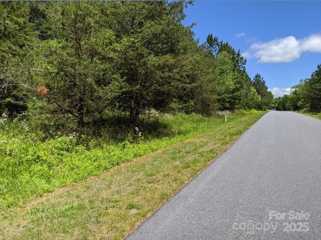 158 Riverwalk Rd, Stony Point, NC 28678 - photo 11