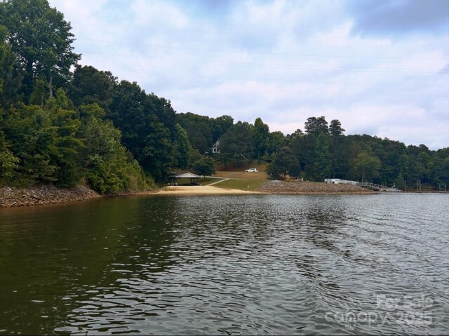 158 Riverwalk Rd, Stony Point, NC 28678 - photo 14