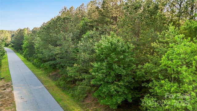 158 Riverwalk Rd, Stony Point, NC 28678 - photo 18