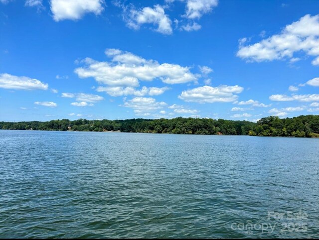 158 Riverwalk Rd, Stony Point, NC 28678 - photo 23