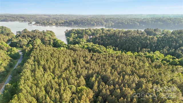 158 Riverwalk Rd, Stony Point, NC 28678 - photo 24